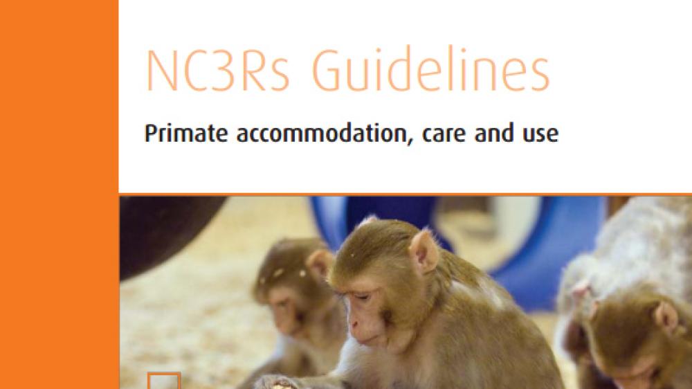 Cover photo of the NC3Rs guidelines for primate accommodation, care and use