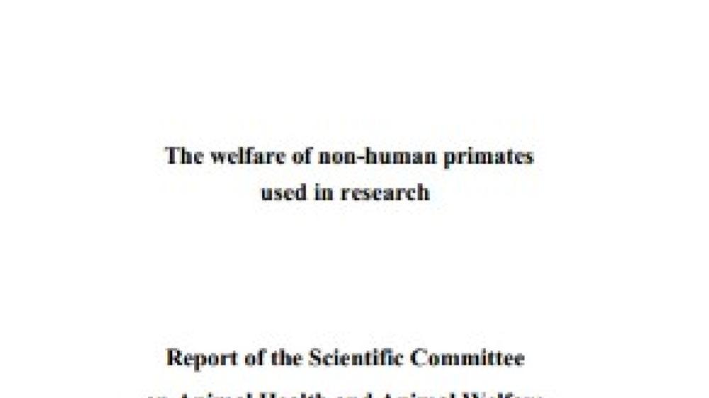 Scientific Committee on Animal Health and Welfare (2002) The Welfare of Non-Human Primates Used in Research